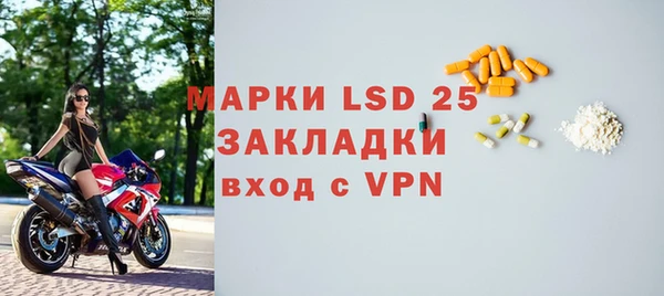 гидра Вязьма