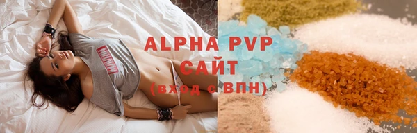 гидра Вязьма