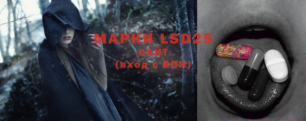 гидра Вязьма