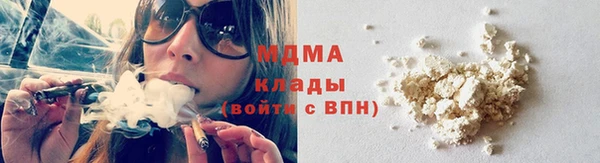 гидра Вязьма
