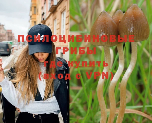 гидра Вязьма