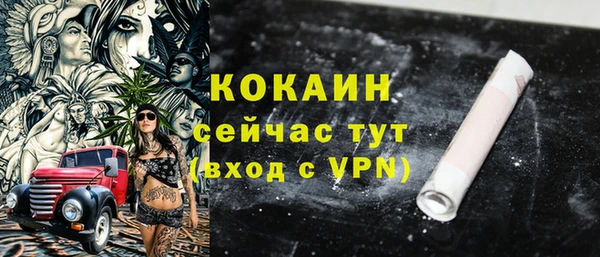 гидра Вязьма