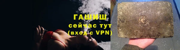 гидра Вязьма