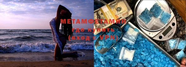 гидра Вязьма