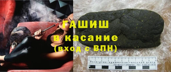 гидра Вязьма