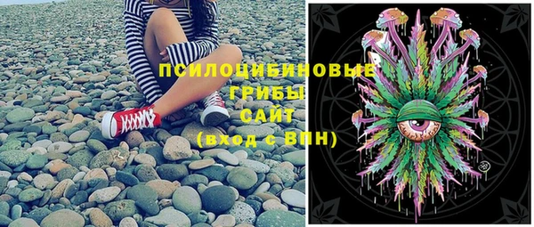 mix Вяземский