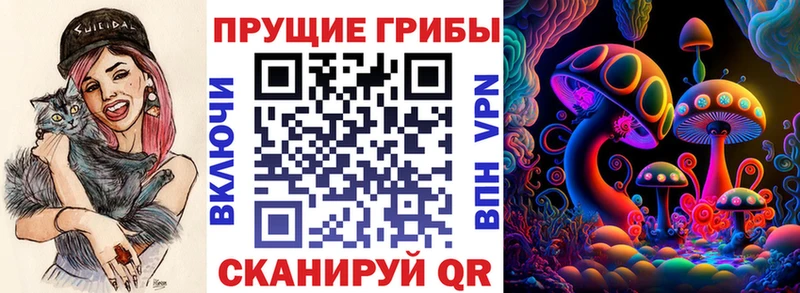 Купить где  Ивдель  Галлюциногенные грибы Magic Shrooms 